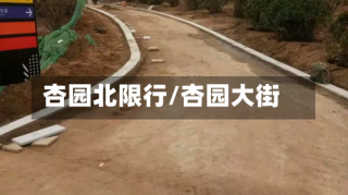 杏园北限行/杏园大街