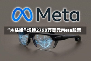 “木头姐”增持2790万美元Meta股票