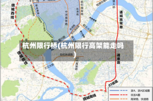 杭州限行桥(杭州限行高架能走吗)