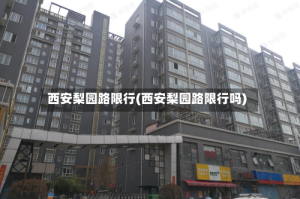 西安梨园路限行(西安梨园路限行吗)