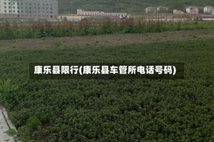 康乐县限行(康乐县车管所电话号码)