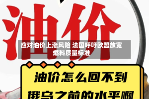 应对油价上涨风险 法国呼吁欧盟放宽燃料质量标准