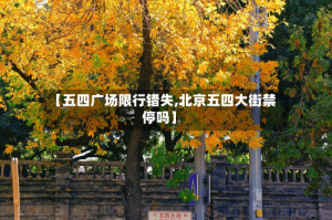 【五四广场限行错失,北京五四大街禁停吗】