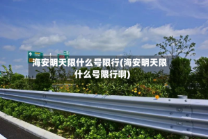海安明天限什么号限行(海安明天限什么号限行啊)