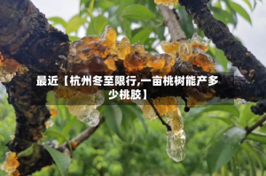 最近【杭州冬至限行,一亩桃树能产多少桃胶】