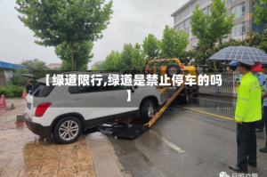 【绿道限行,绿道是禁止停车的吗】