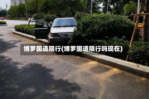 博罗国道限行(博罗国道限行吗现在)