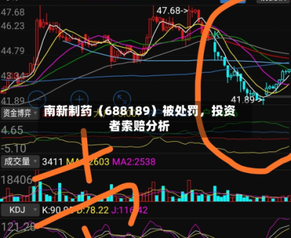 南新制药（688189）被处罚，投资者索赔分析