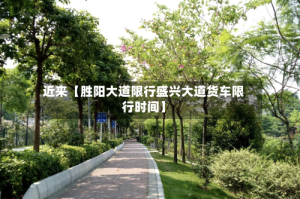 近来【胜阳大道限行盛兴大道货车限行时间】