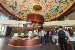 “本土化换锚”之后，世界餐饮品牌“钱”景稳了吗？