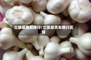 兰陵县路段限行/兰陵县货车限行区域