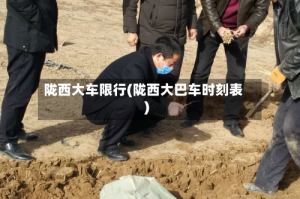 陇西大车限行(陇西大巴车时刻表)