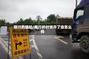 限行的尴尬/限行的时候开了会怎么样
