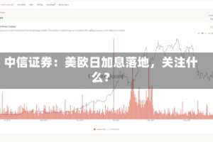 中信证券：美欧日加息落地，关注什么？