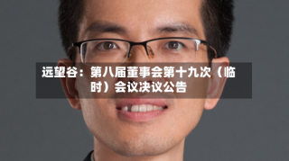 远望谷：第八届董事会第十九次（临时）会议决议公告