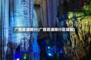 广西荔浦限行(广西荔浦限行区域图)