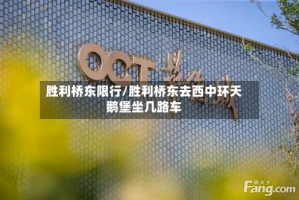 胜利桥东限行/胜利桥东去西中环天鹅堡坐几路车