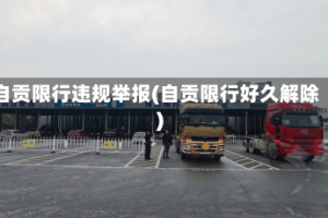 自贡限行违规举报(自贡限行好久解除)