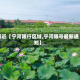 最近【宁河限行区域,宁河限号最新通知】