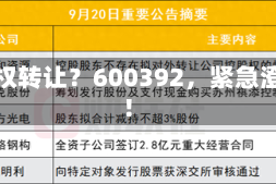 控股权转让？600392，紧急澄清！