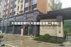 大邑城区限行(大邑城区急售二手房)