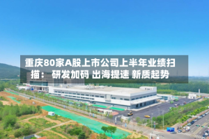 重庆80家A股上市公司上半年业绩扫描： 研发加码 出海提速 新质起势