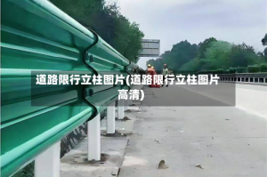 道路限行立柱图片(道路限行立柱图片高清)