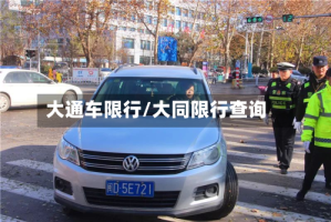 大通车限行/大同限行查询