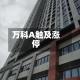 万科A触及涨停