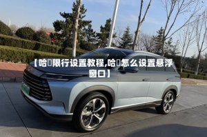 【哈啰限行设置教程,哈啰怎么设置悬浮窗口】