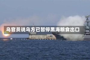 乌官员说乌方已暂停黑海粮食出口