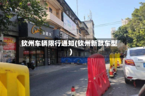 钦州车辆限行通知(钦州新款车型)