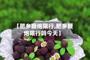 【肥乡鞭炮限行,肥乡鞭炮限行吗今天】