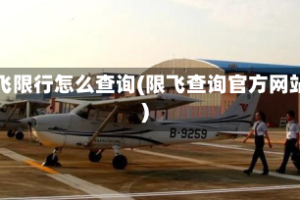 限飞限行怎么查询(限飞查询官方网站)