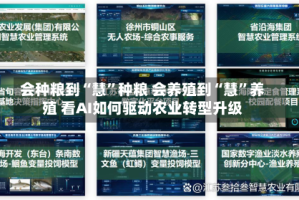 会种粮到“慧”种粮 会养殖到“慧”养殖 看AI如何驱动农业转型升级