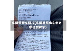 东莞黄牌车限行(东莞牌照小车怎么申请黄牌车)