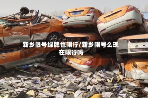 新乡限号绿牌也限行/新乡限号么现在限行吗