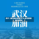 关于【武汉限行桥梁2018,武汉桥梁通行规定】
