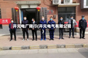开元电厂限行(开元电气有限公司)