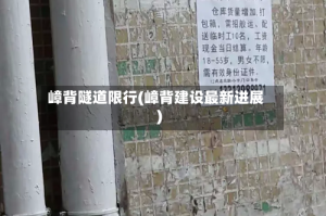 嶂背隧道限行(嶂背建设最新进展)