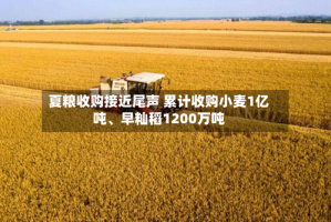 夏粮收购接近尾声 累计收购小麦1亿吨、早籼稻1200万吨
