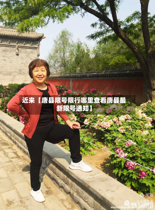 近来【唐县限号限行哪里查看唐县最新限号通知】-第2张图片