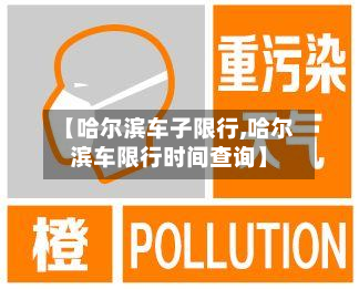 【哈尔滨车子限行,哈尔滨车限行时间查询】-第3张图片