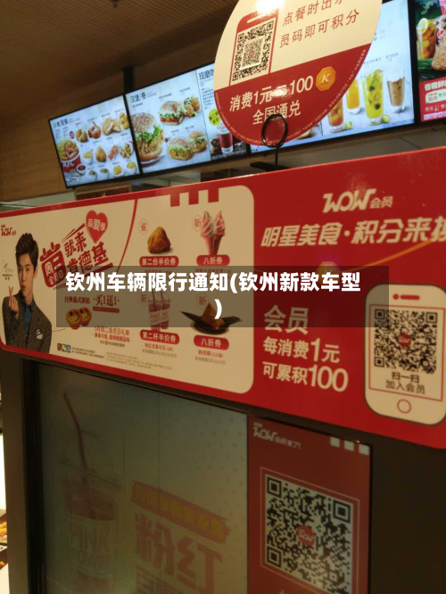 钦州车辆限行通知(钦州新款车型)-第3张图片