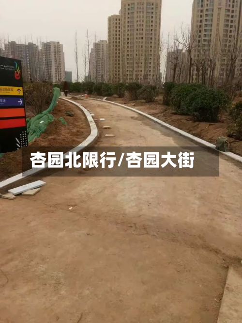 杏园北限行/杏园大街-第1张图片