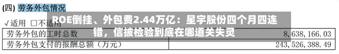 ROE倒挂	、外包费2.44万亿：星宇股份四个月四连错，信披检验到底在哪道关失灵-第2张图片