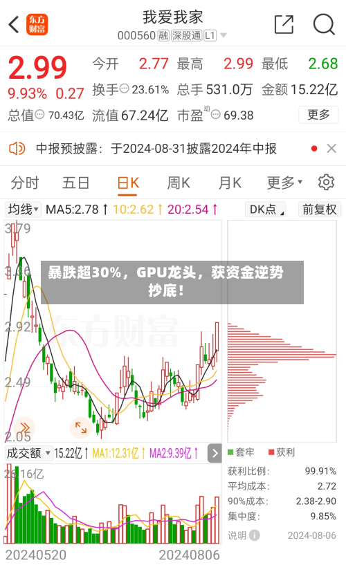 暴跌超30%，GPU龙头，获资金逆势抄底！-第1张图片