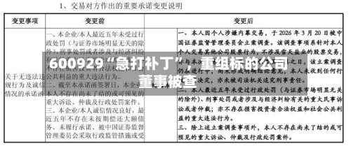 600929“急打补丁”，重组标的公司董事被查-第1张图片