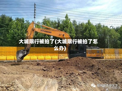 大城限行被拍了(大城限行被拍了怎么办)-第3张图片
