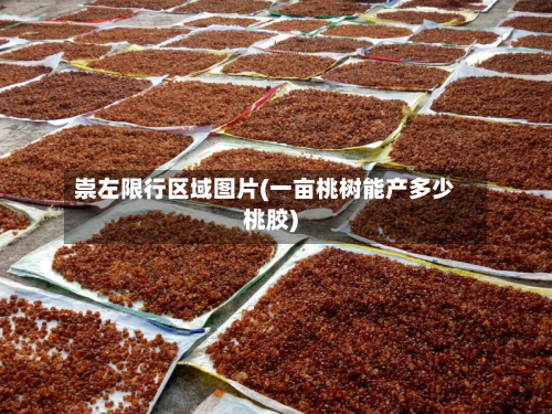 崇左限行区域图片(一亩桃树能产多少桃胶)-第2张图片